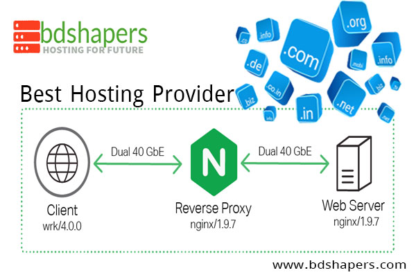 Best Hosting Provider-bdshapers