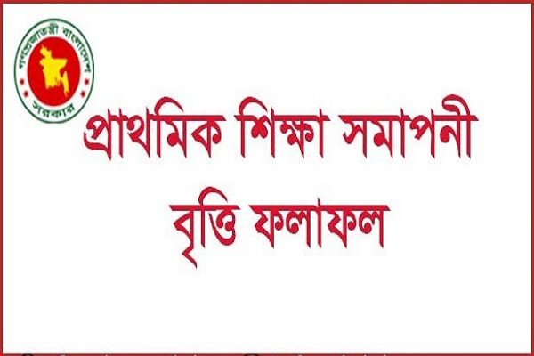primary scholarships