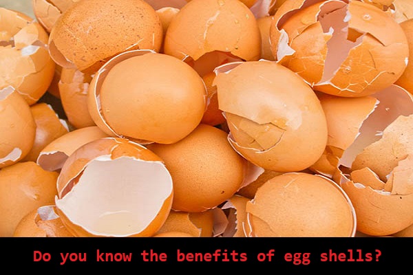 Amazing use of egg shells